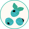 Blueberry Candy icon