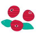Decorative fruit icon