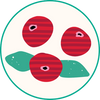 Cranberry Candy icon