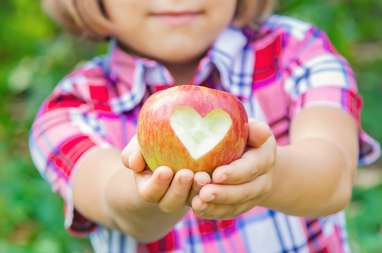 Child holding an apple with a heart shape cut out of it, standing in an apple orchard. Fruiter non-GMO candy limits its ingredients to just fruit, sugar, and all-natural flavorings.