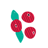 Cranberry decoration